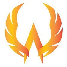 TBI Warrior Foundation logo